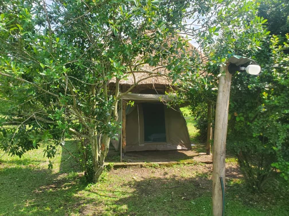 Engiri Game Lodge And Campsite Katunguru Εξωτερικό φωτογραφία