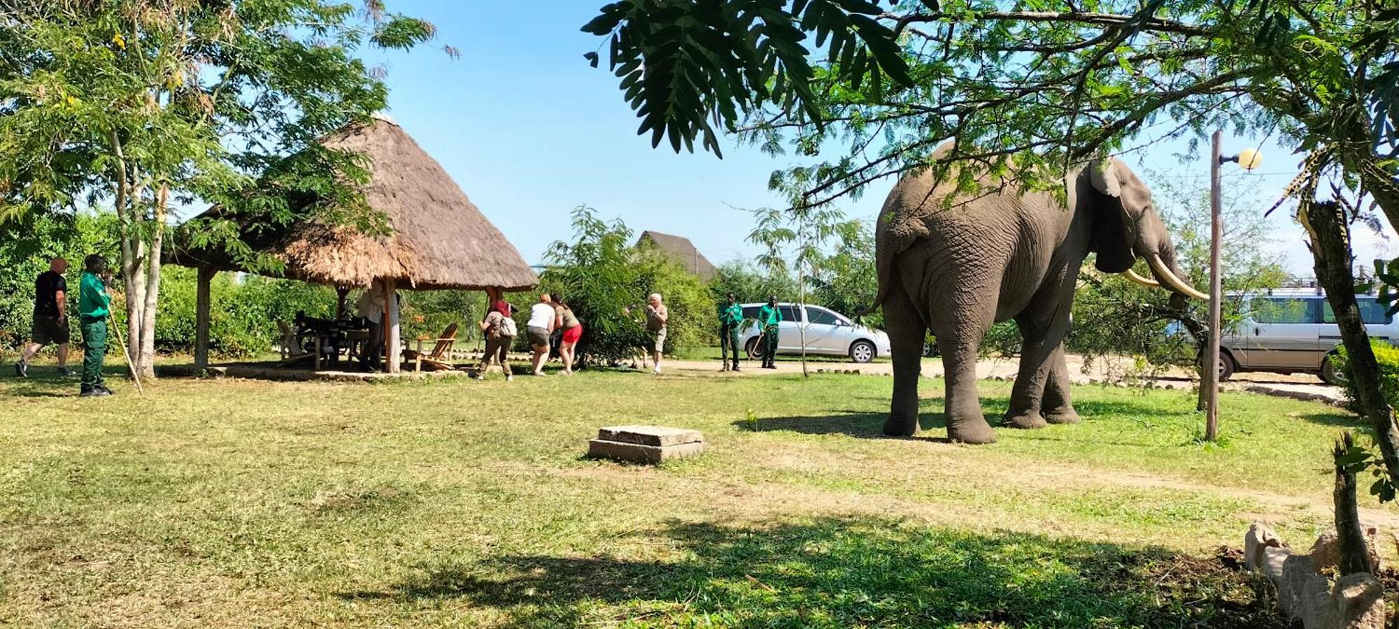 Engiri Game Lodge And Campsite Katunguru Εξωτερικό φωτογραφία