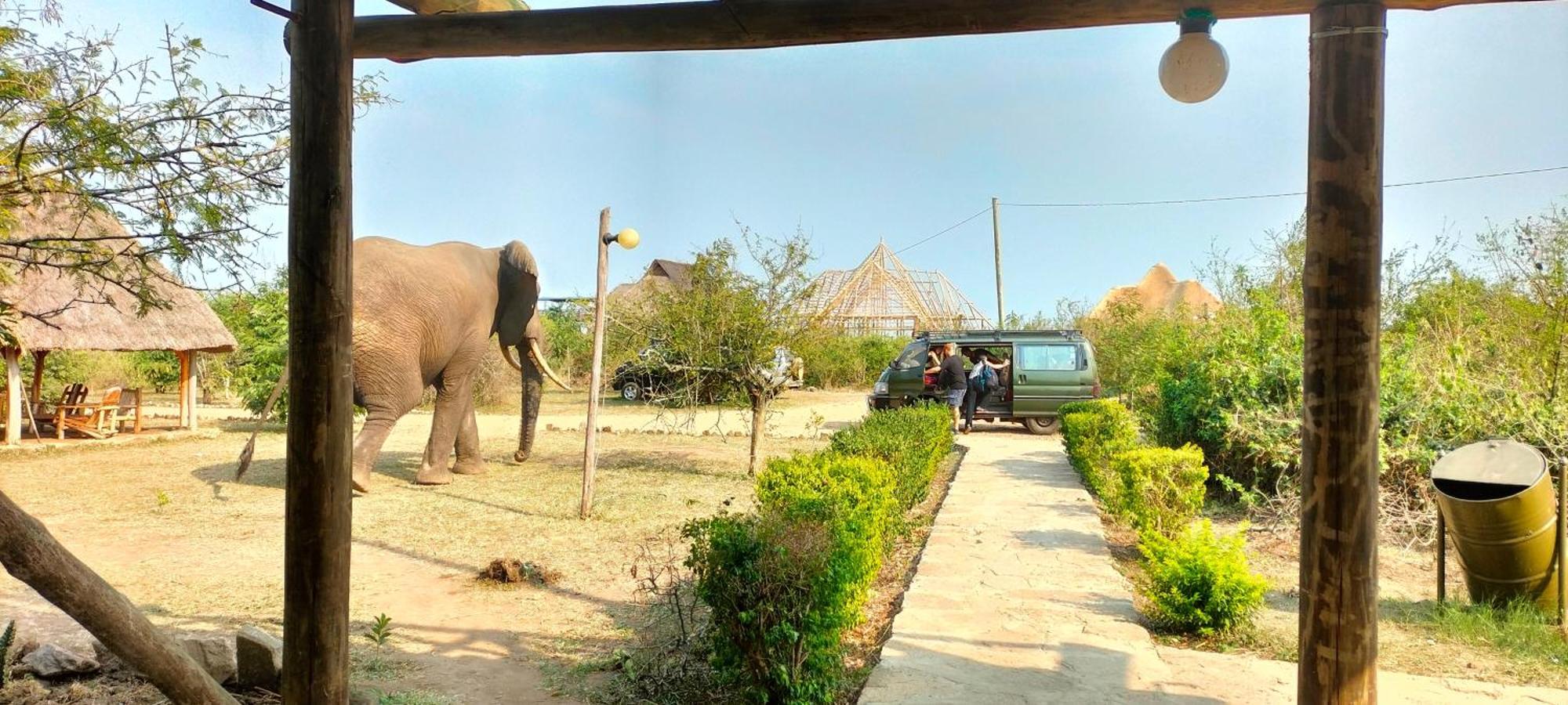 Engiri Game Lodge And Campsite Katunguru Εξωτερικό φωτογραφία